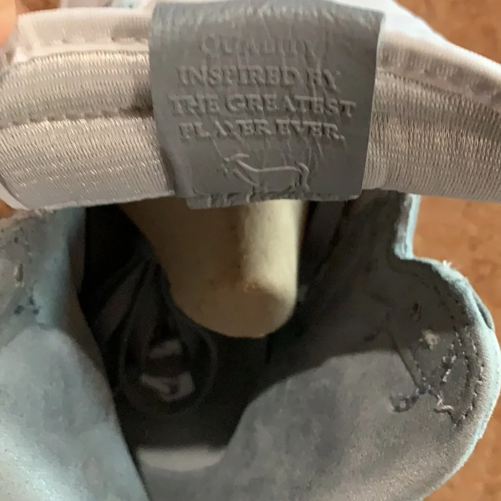 Jordan 1 Retro High OG Stealth (Premium Leather)